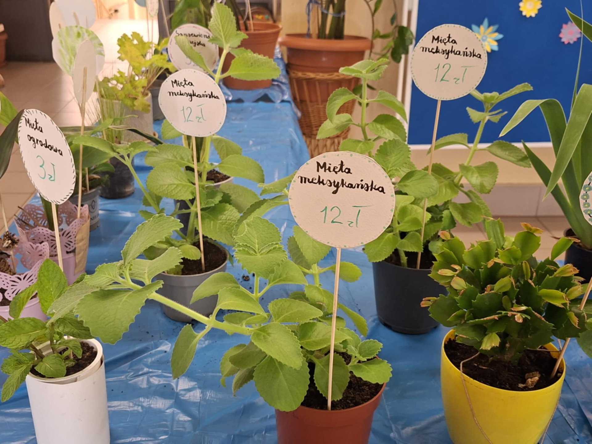 Hdimg368c67fcf596e4ad62d4b3105bc372