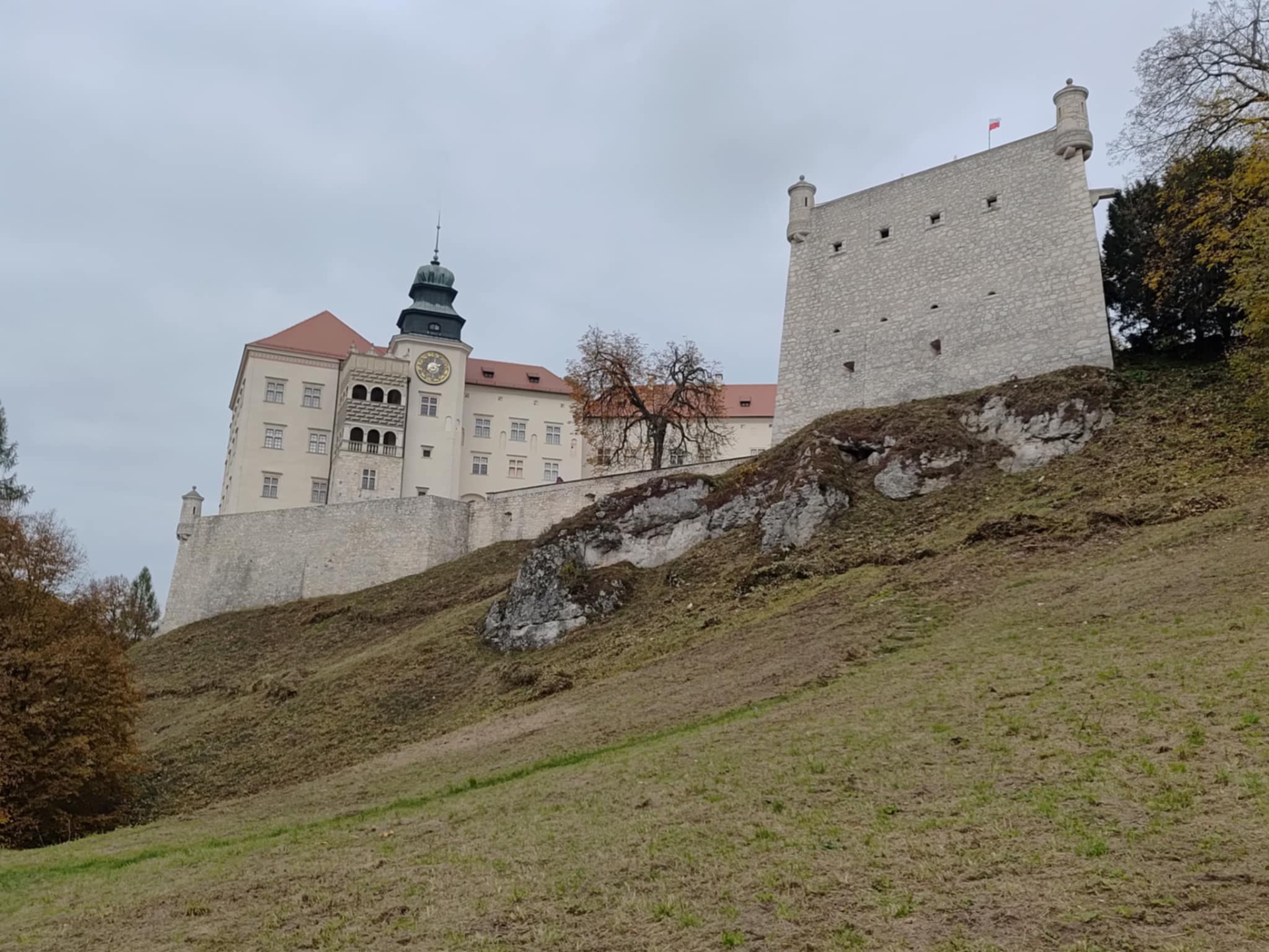 Hdimgb3935c08cf7125d13e6000104ba464