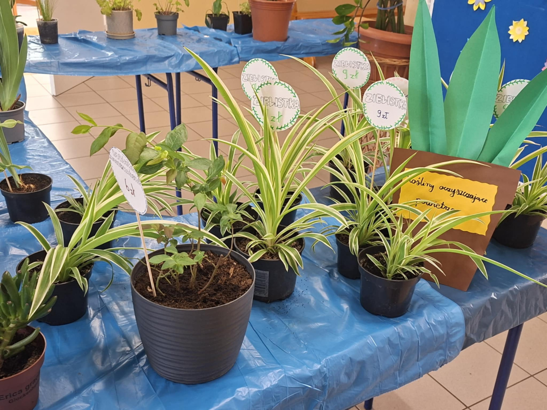 Hdimg581ac084b70925cce52a885ca6cb75