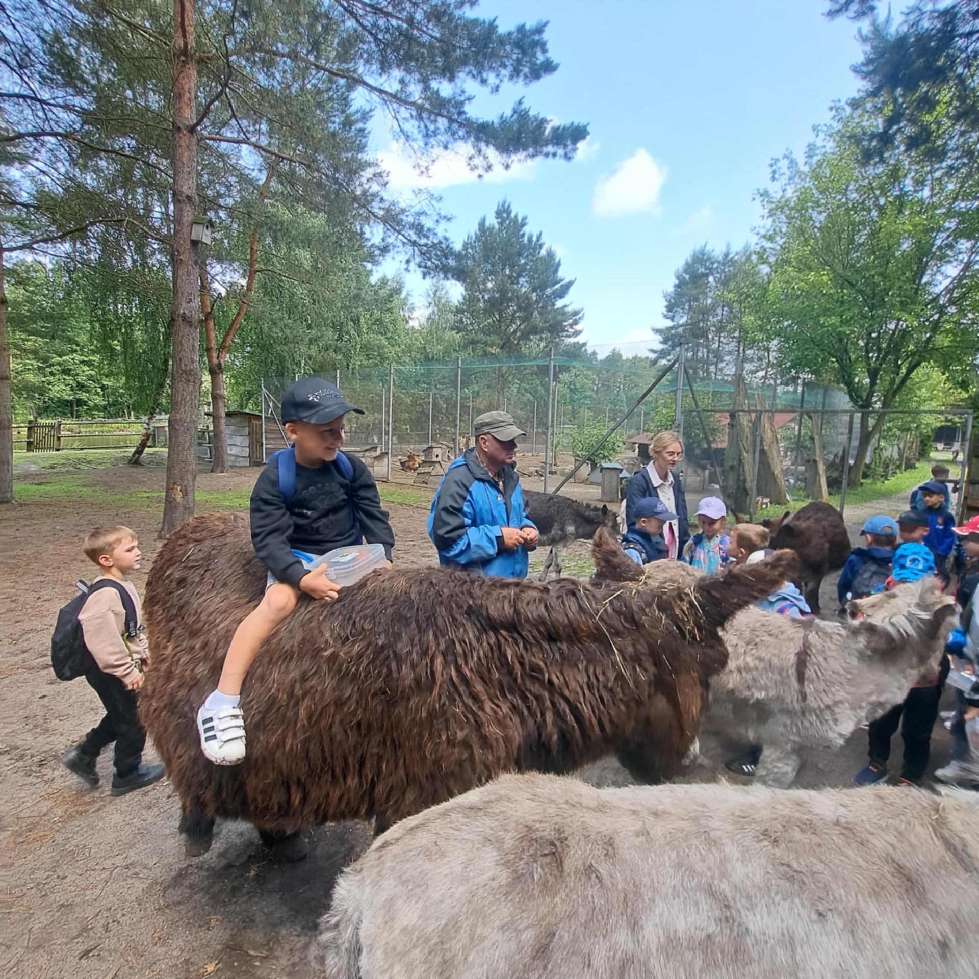 Hdimg9312ad3004014059d1dc164c57b3f8