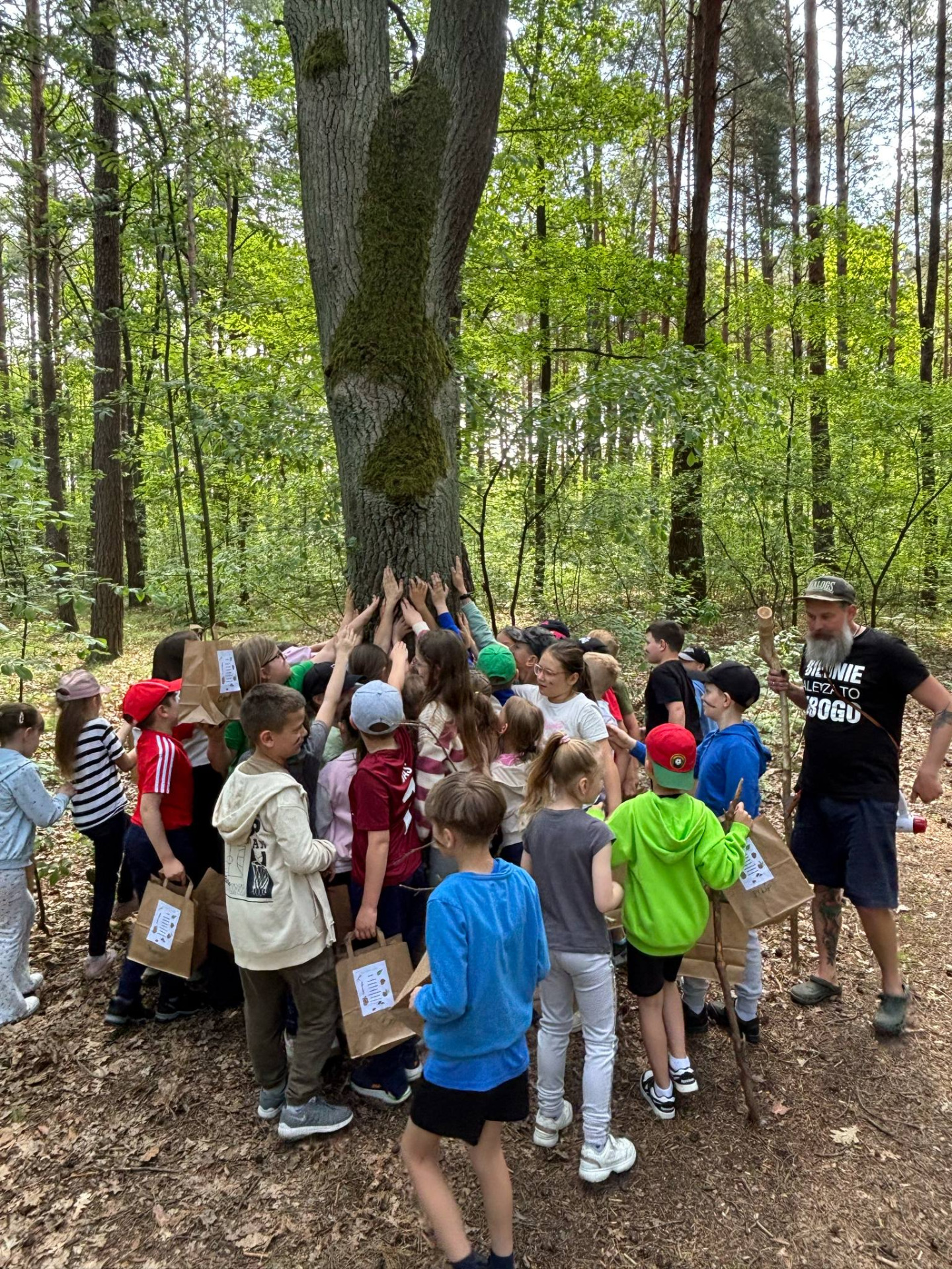 Hdimg6d8c19818fcac0aa38c489dd390ea9