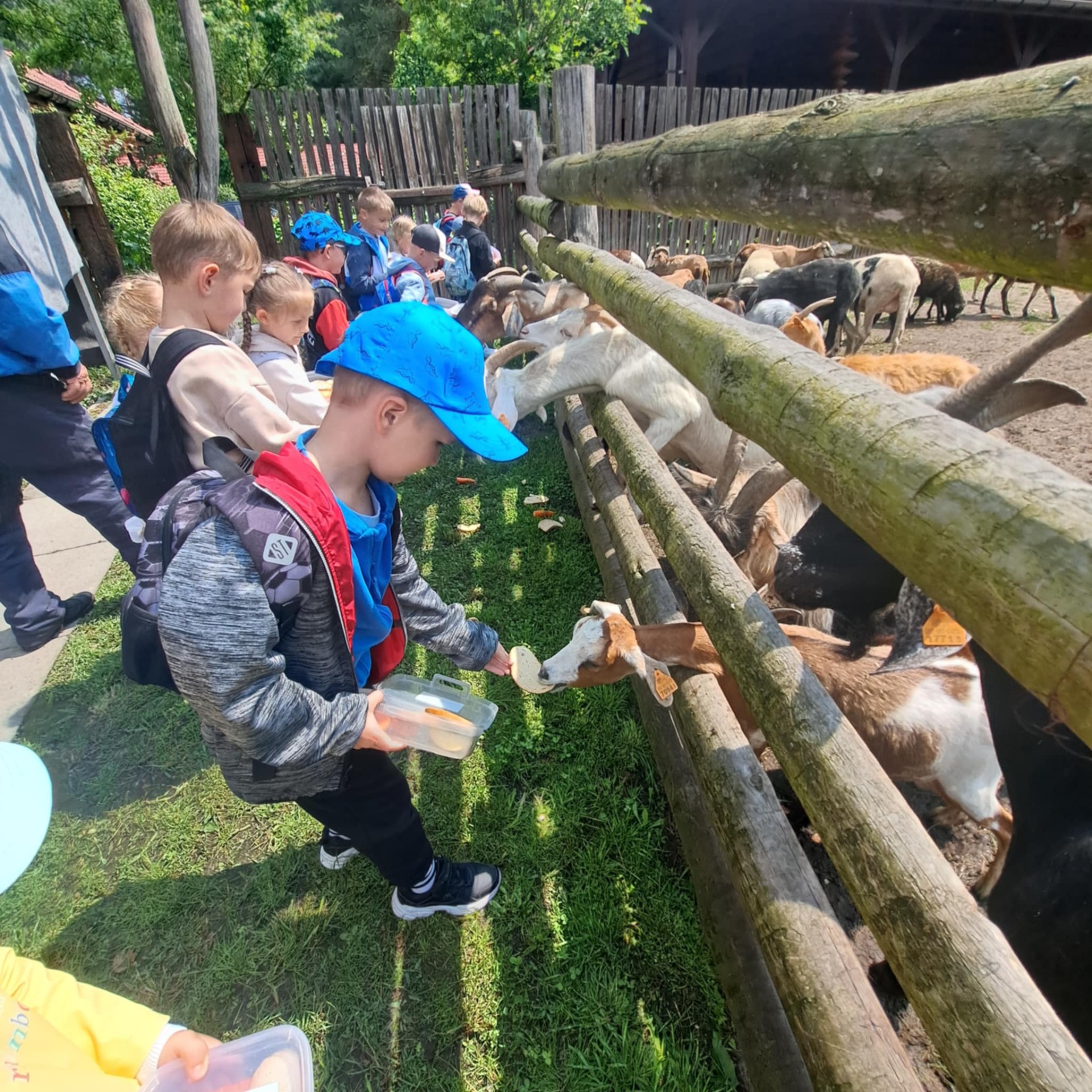 Hdimga4f6e371a1c0abbce9c0b3409715bc