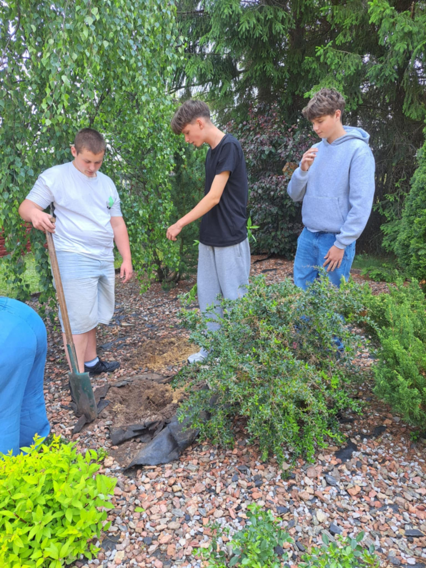 Hdimg56f9a6a4eca2643a93db0392b1b0bf