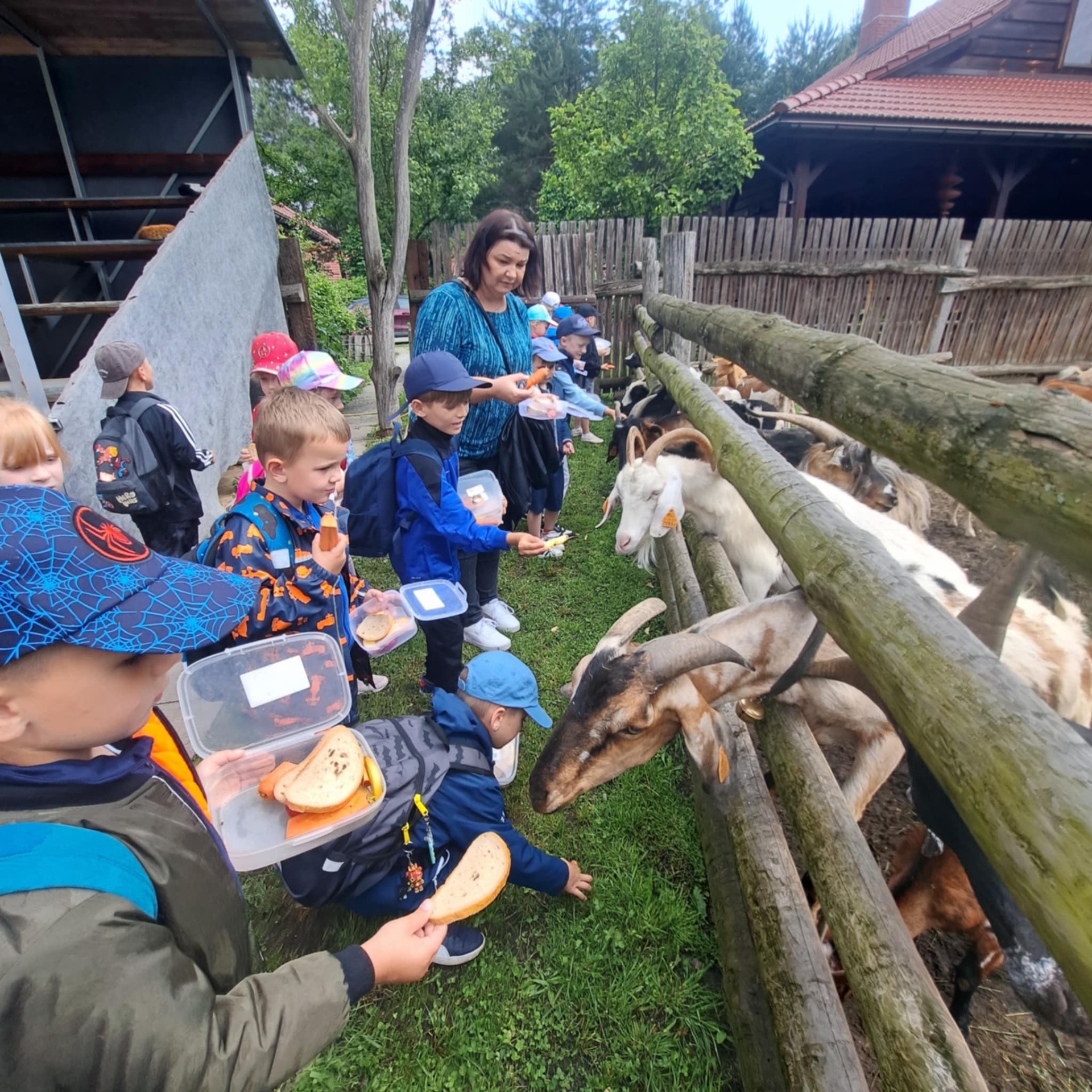 Hdimg5b793833721004e5a0281813a94d7d