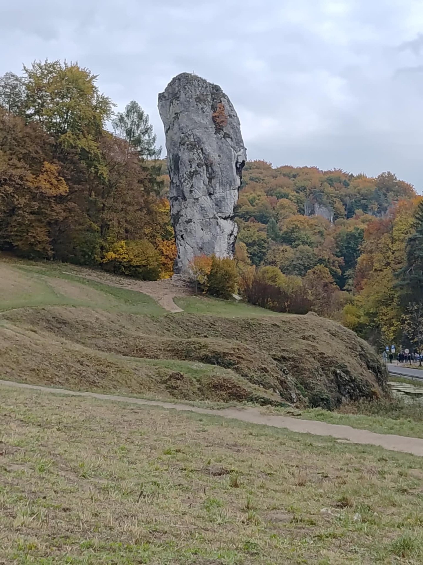 Hdimg80a33005fa475b741d313b41313a36