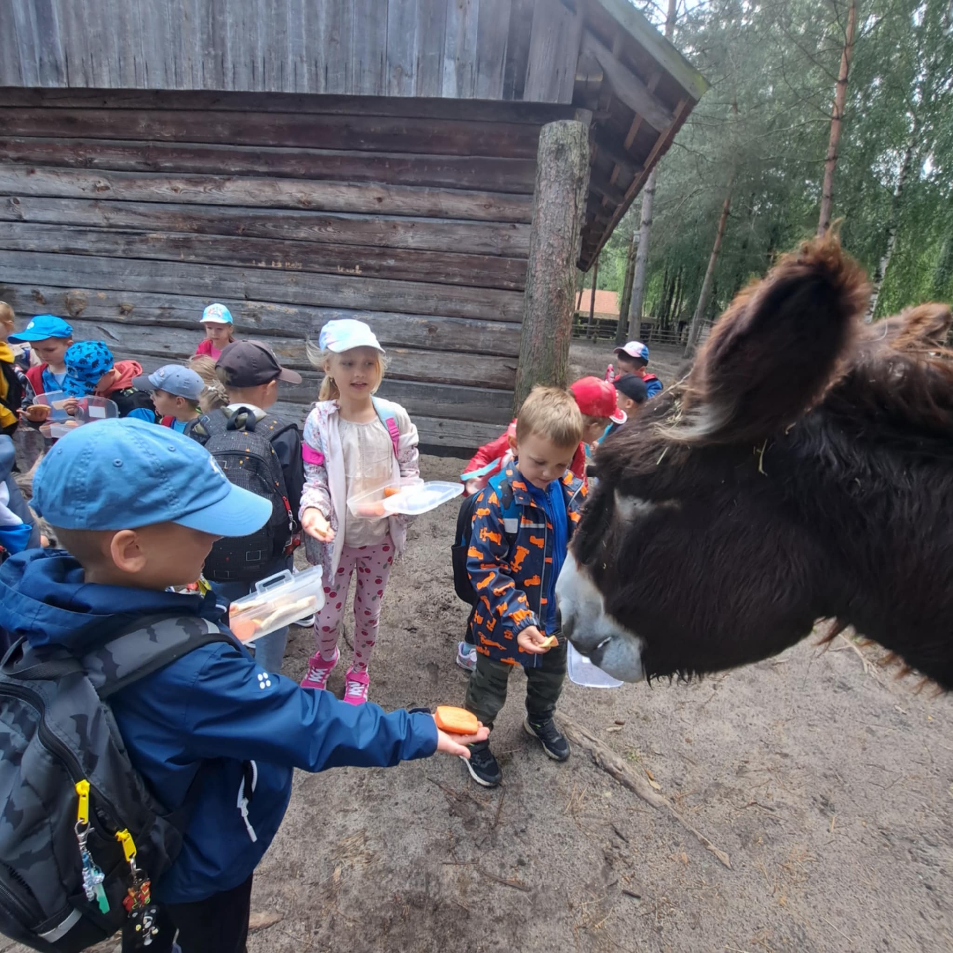 Hdimg283914410bca88870683dc36fce446