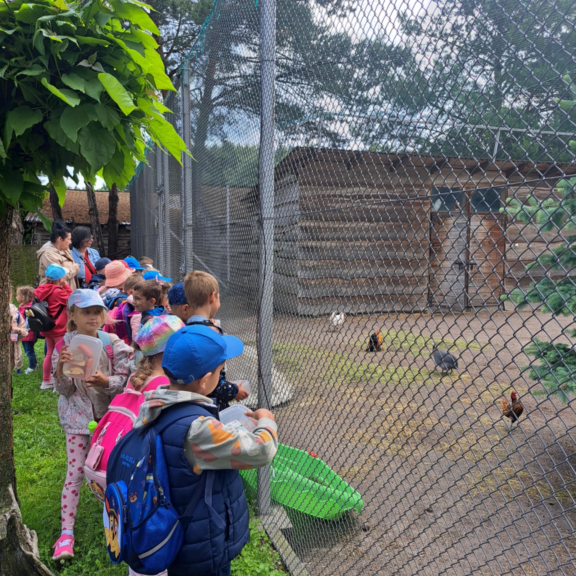 Hdimg88f71eddd4c9facb642258db470fd0