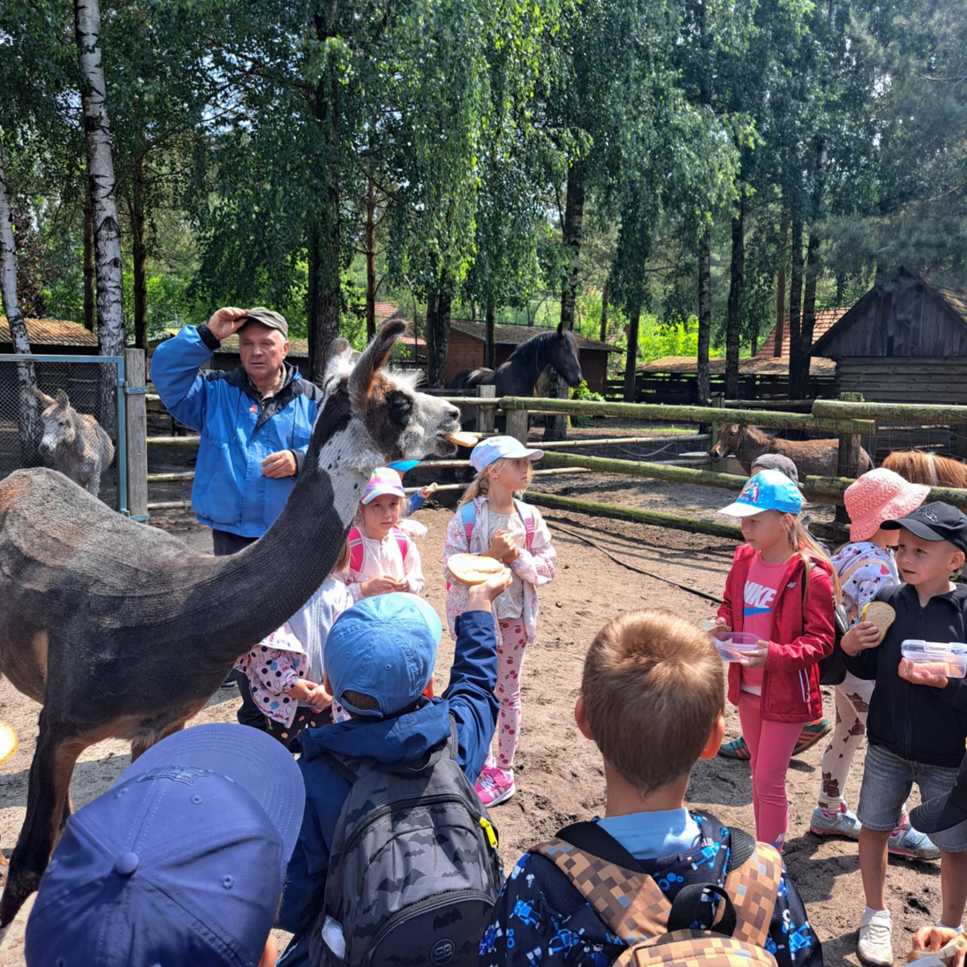 Hdimg117f30f689456786af7d2b7dee1fa3