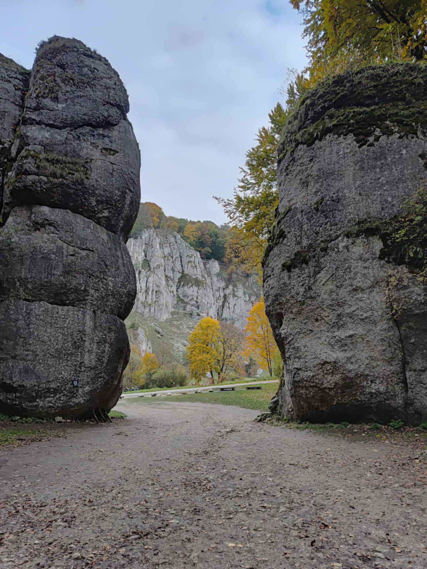 Hdimgf90ece4f46f322d01a51537eca1e0d