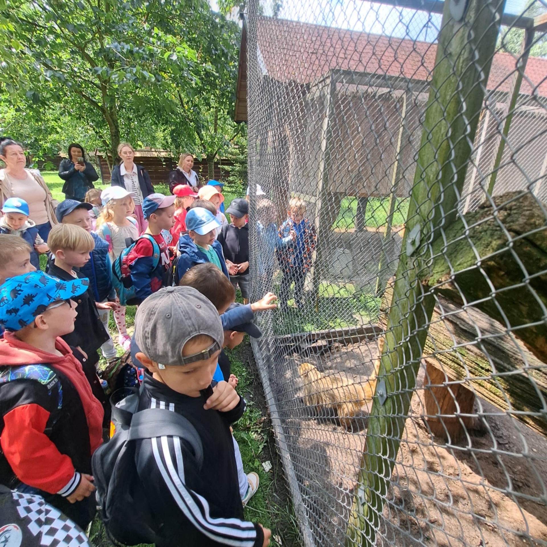 Hdimg4b91f723b966338383241e66a996f3