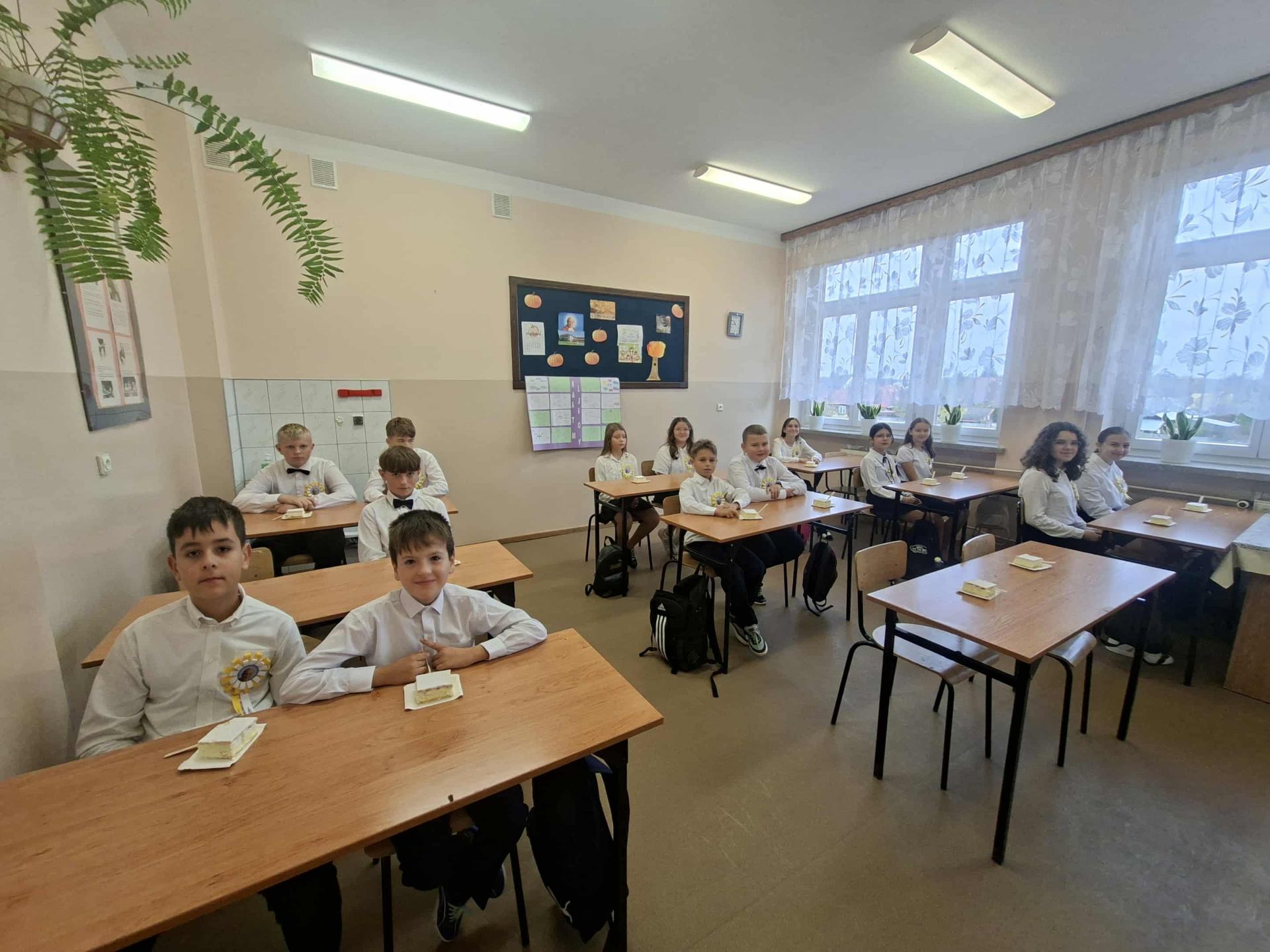 Hdimgd542c9899c375dfb6f2acfcb559a05