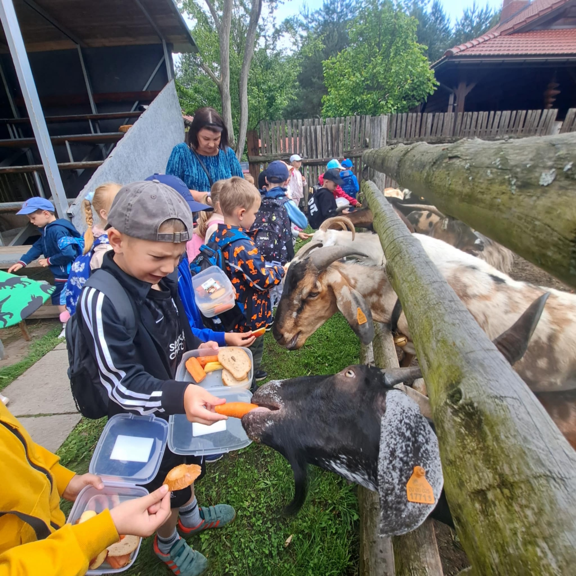 Hdimg93249e9fcbc12f74642417e739e0a0