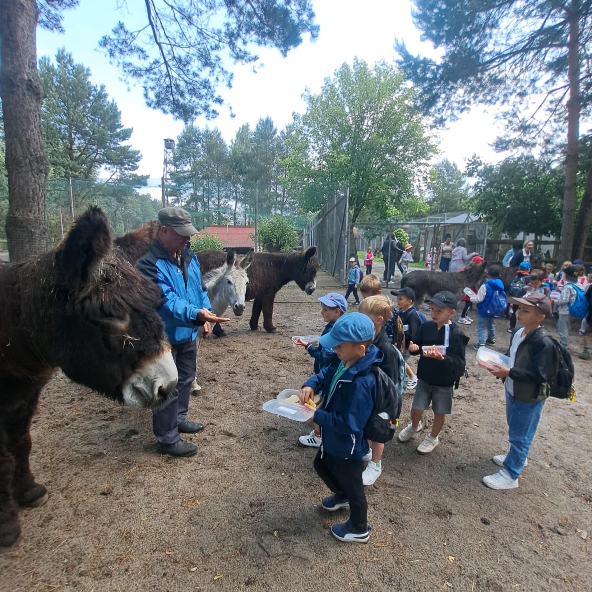 Hdimg2d916249e6fbee253897701db3f83e