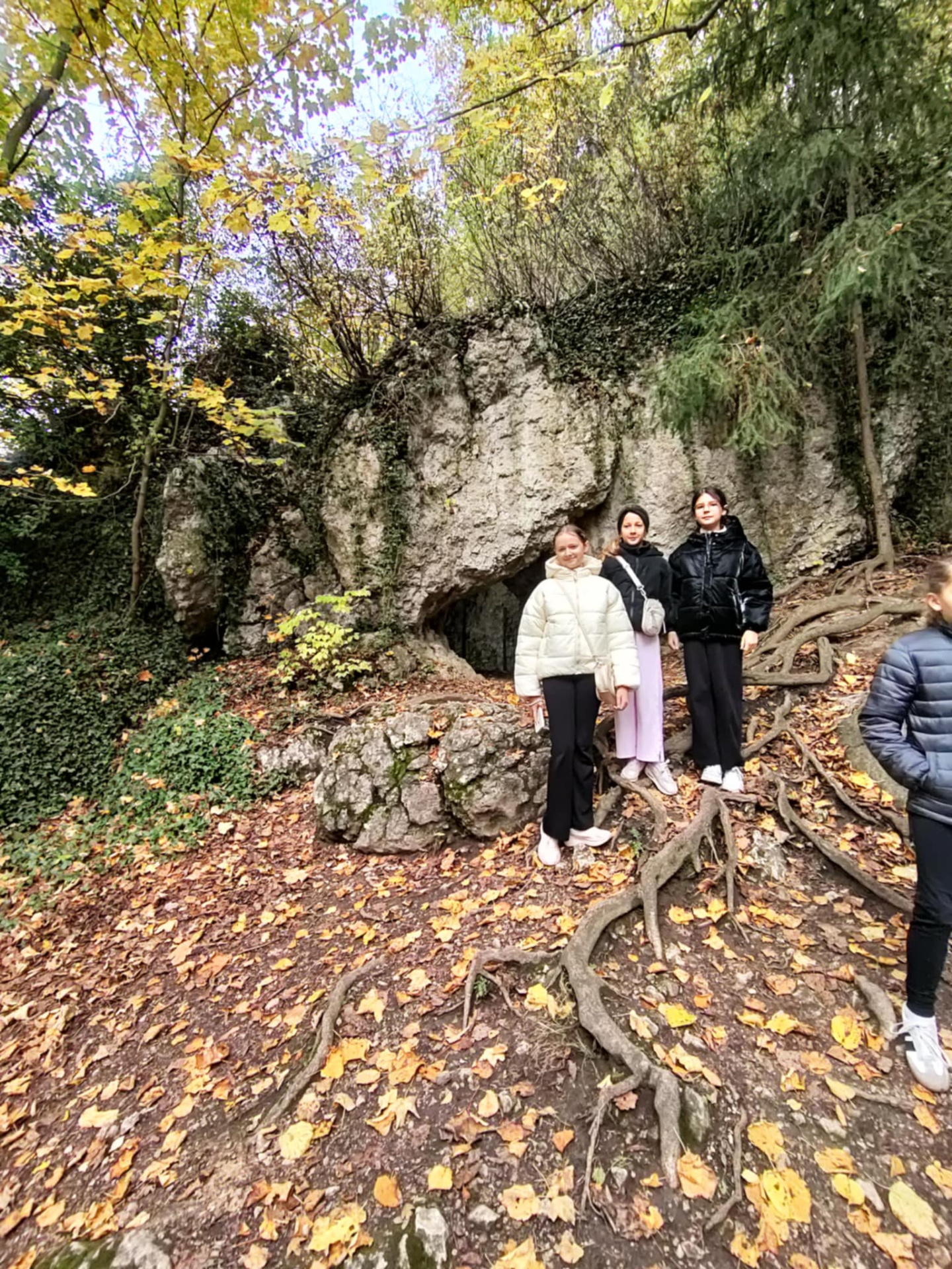 Hdimg6f24214a5f4dc56cfe87aabebab7c2