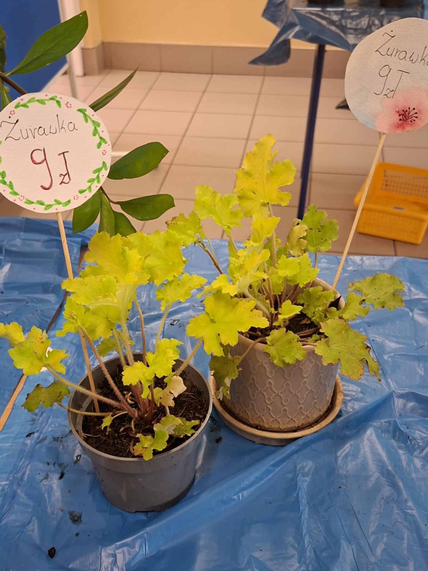 Hdimg7597b0fadab0eab62e3c2e2615c47d