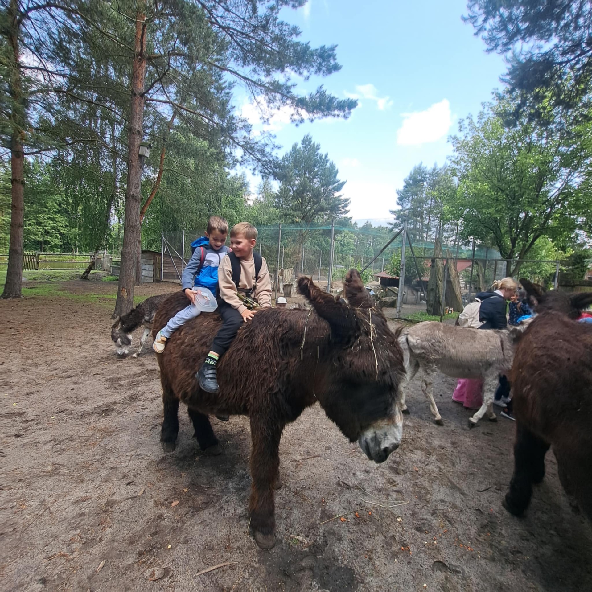 Hdimg8f00f8d39035e86ffca9dccf1a6038