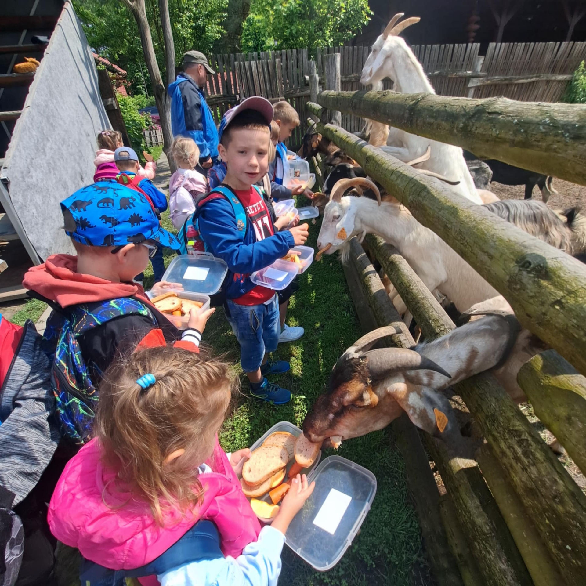 Hdimg0f948fd2f542899db4293a863e0297