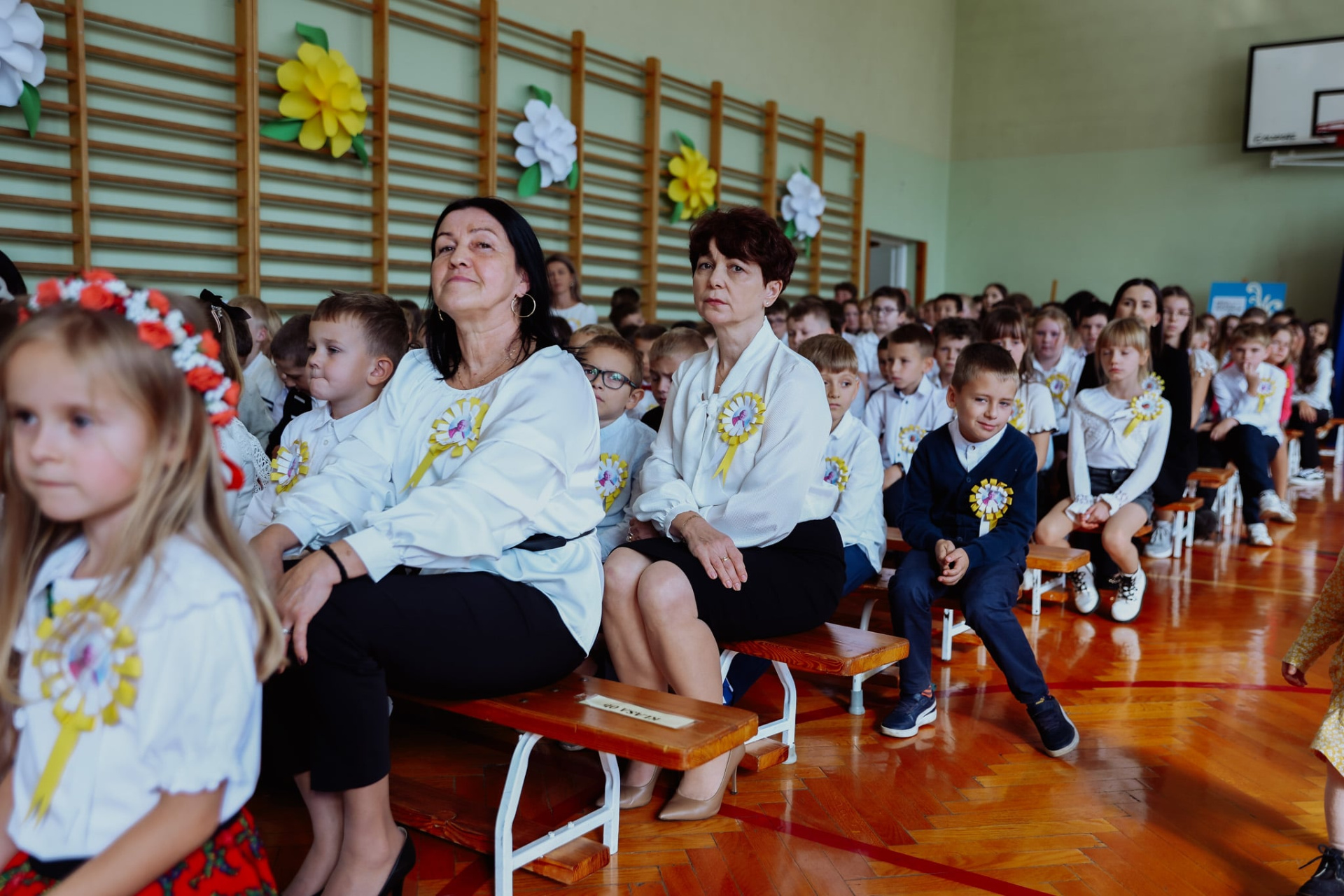 Hdimgcbdd62db81b79d75acfe5ff598fcd5