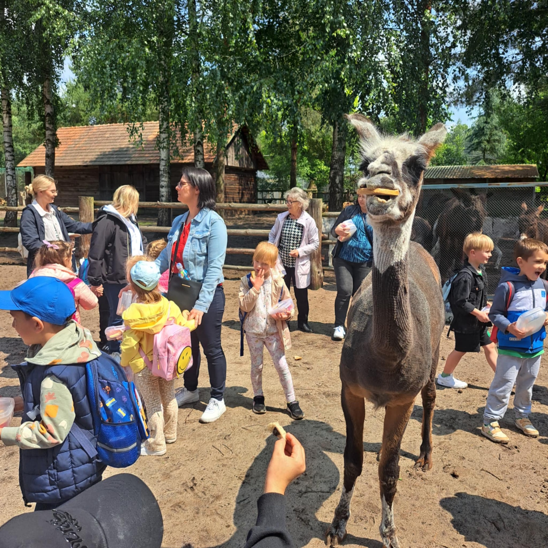 Hdimg5f4858f42b29cba4f0313e8344c8e5