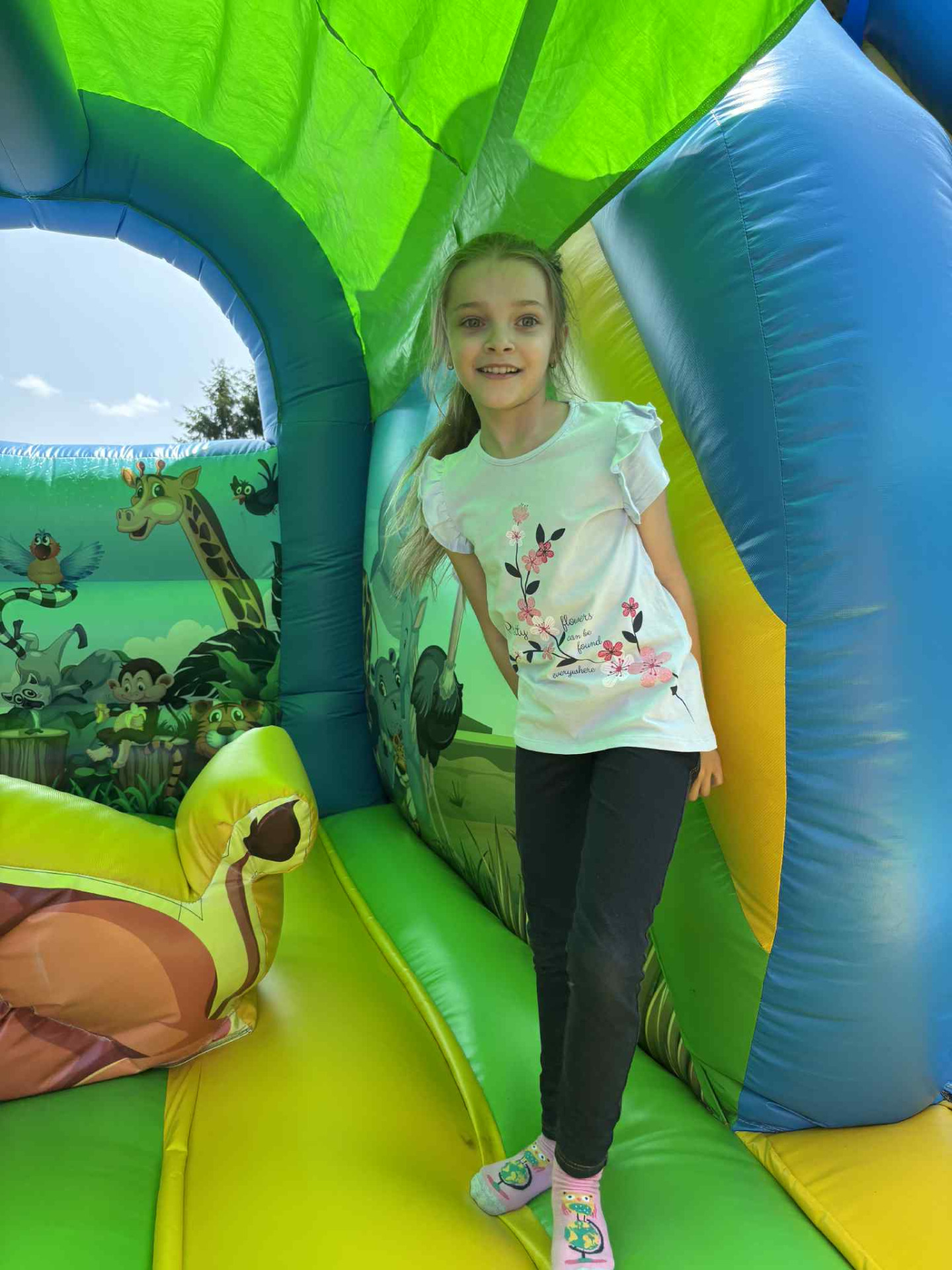 Hdimg5a3a1e71187c876cfb88024b0f1d0c 1