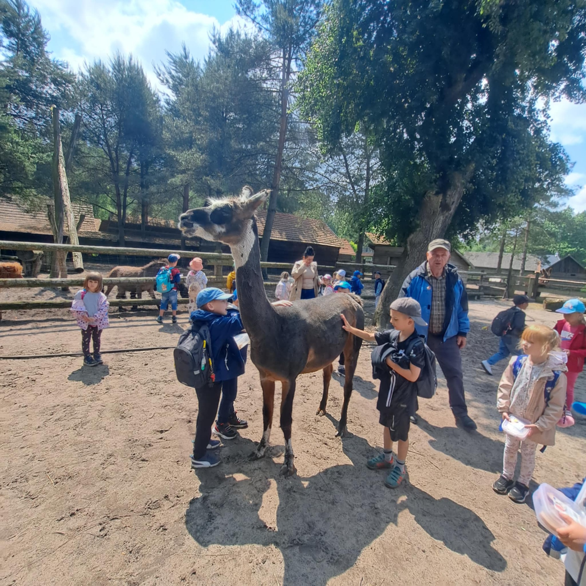 Hdimg7130f7b223428e1535bac0b0f0df93