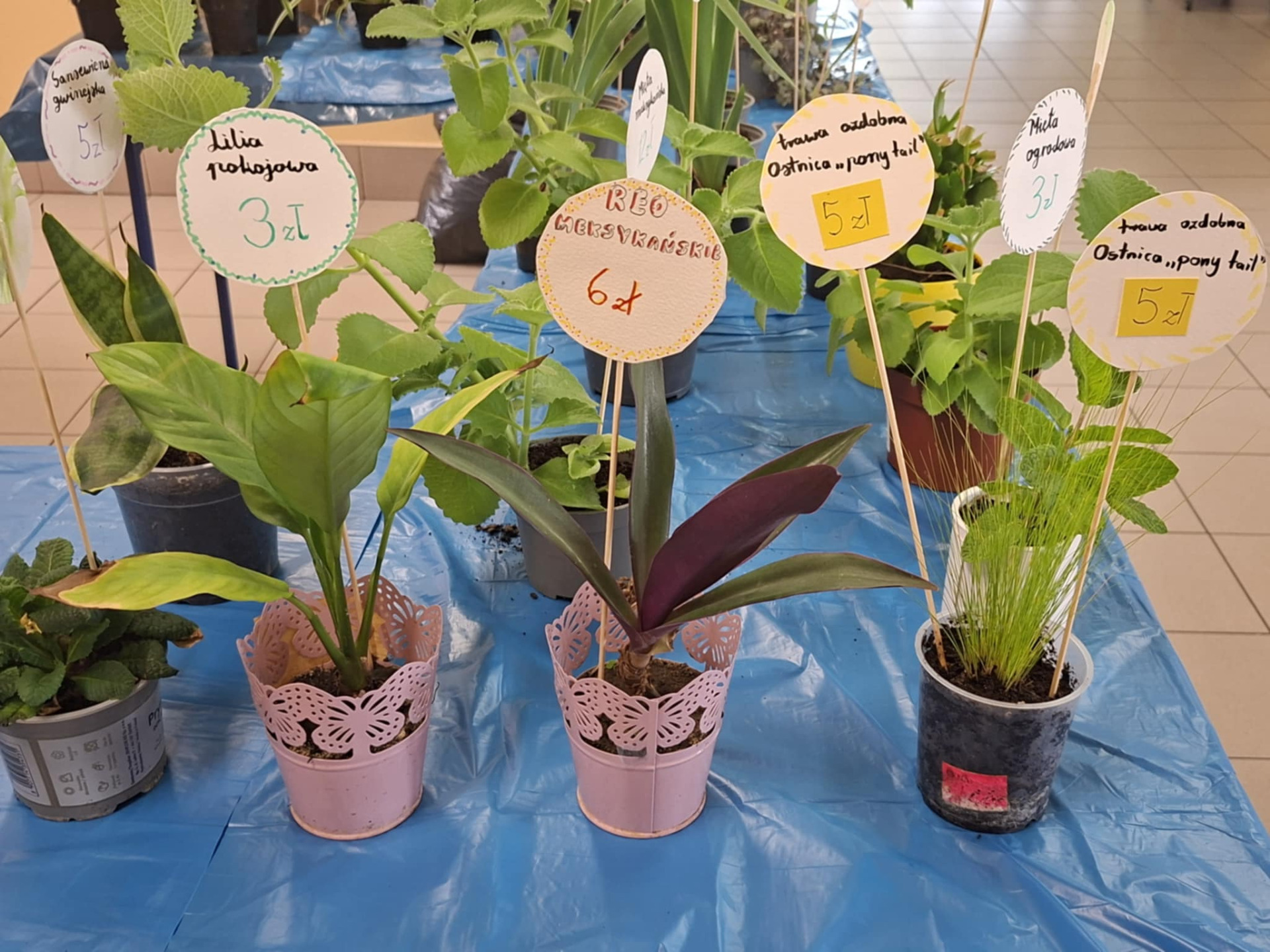 Hdimgab9cad5fb977a6d2b768396c7bd4e4