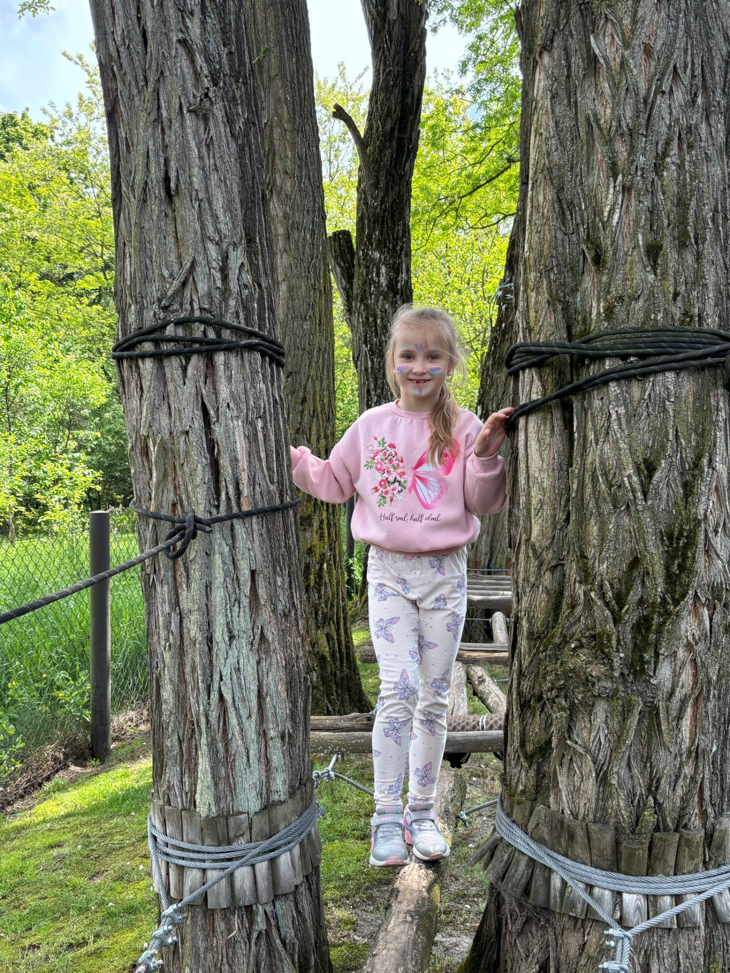 Hdimg531d928d020dbf642dd7dca82a9d8e